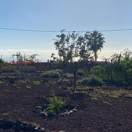 Finca Arcoiris Tenerife Vv Guía de Isora Exteriör bild