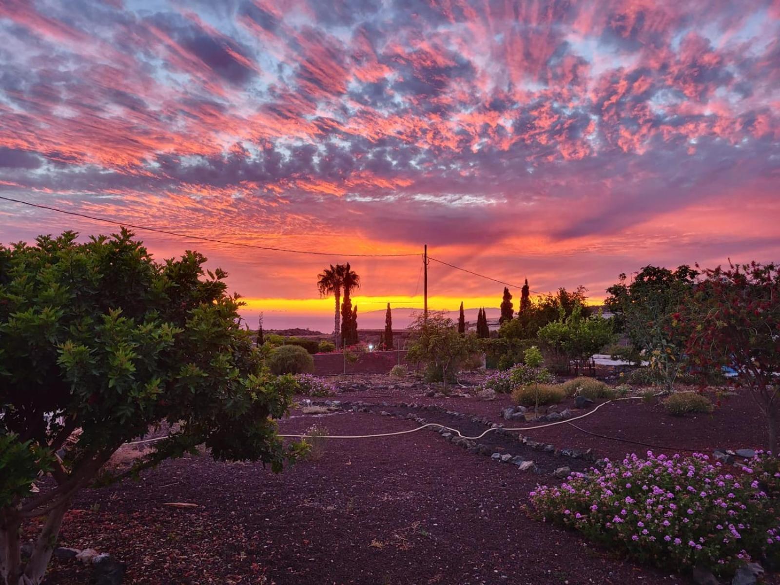 Finca Arcoiris Tenerife Vv Guía de Isora Exteriör bild