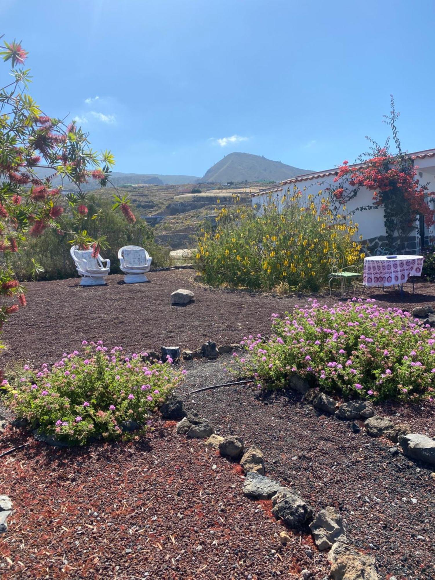 Finca Arcoiris Tenerife Vv Guía de Isora Exteriör bild
